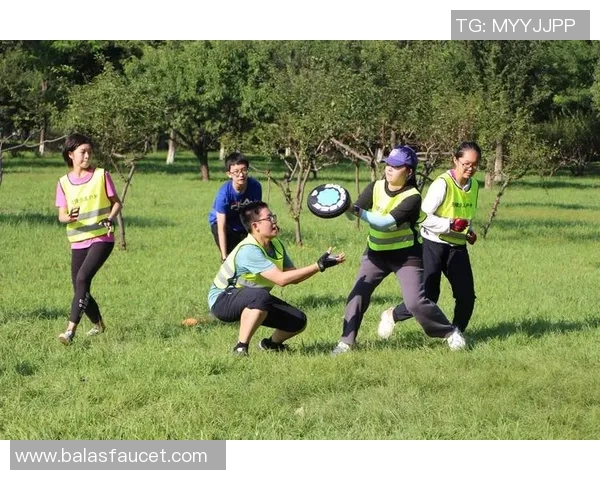 深圳飞盘队的区域防守体系与战术解析探讨