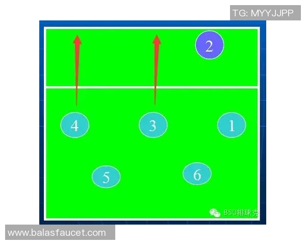西安排球队阵地战解析：战术布局与球员配合的深度剖析